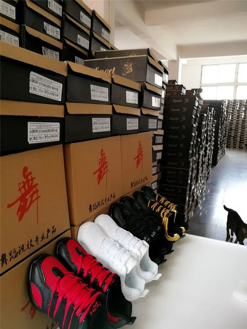Mesh Cloth Dance Sneakers Jazz Shoes Dancing Modern Footwear Belly Contemporary Gym Dancers Leisure Sports Men Women Child Adult