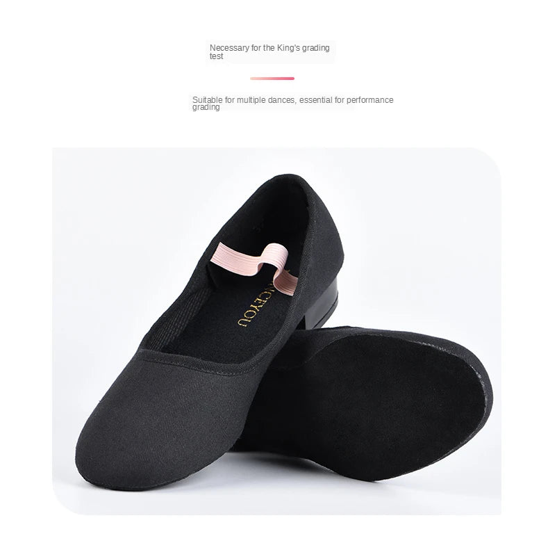 New Coming Canvas Character Dance Shoes Jazz Dancing Footwear Child Adult Women Men Flamingo Stage Modern Ballet Contemporary