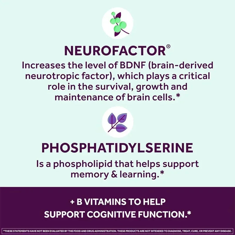 Brain Health Capsules - Supports Brain Health, Enhances Memory & Concentration, Improves Mental Clarity, Vegetarian, Gluten-free