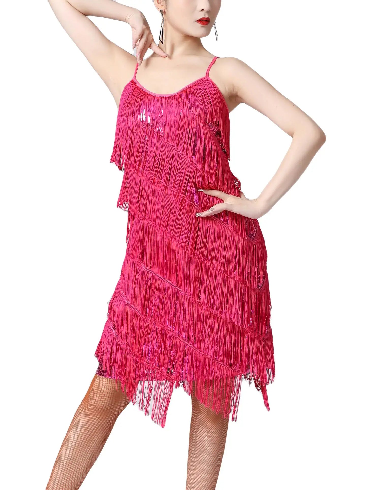 Women Salsa Latin Dance Dress Sequin Tassel Fringe Flapper Dress 1920s Gatsby Cocktail Dress Tango Ballroom Dancing Costume