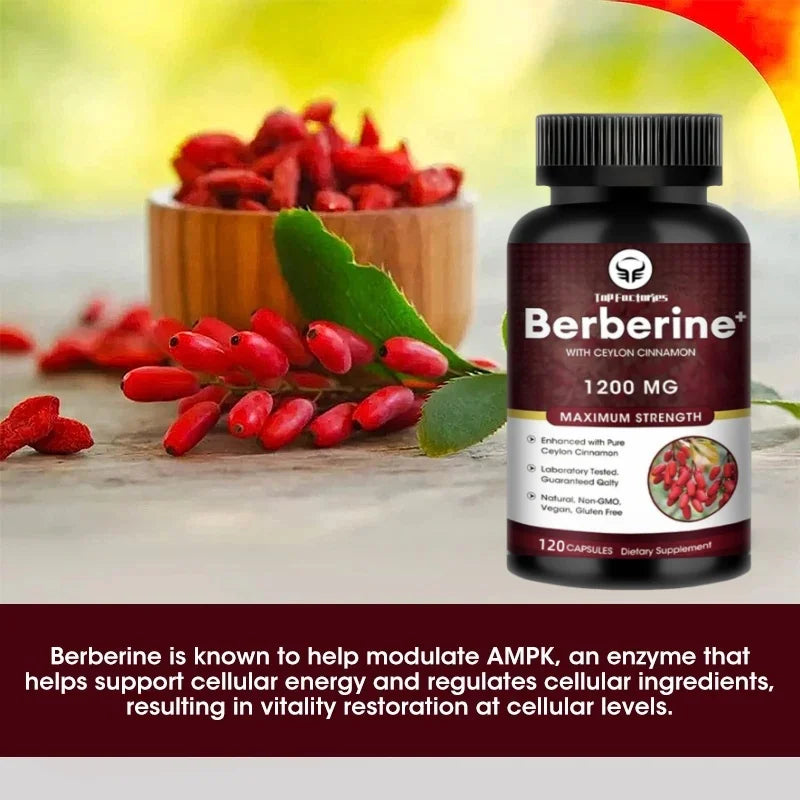 Top Factories Berberine Capsules 1200mg Natural Vegan Supports Heart Health Immune System Liver Health Digestion and Weight Loss