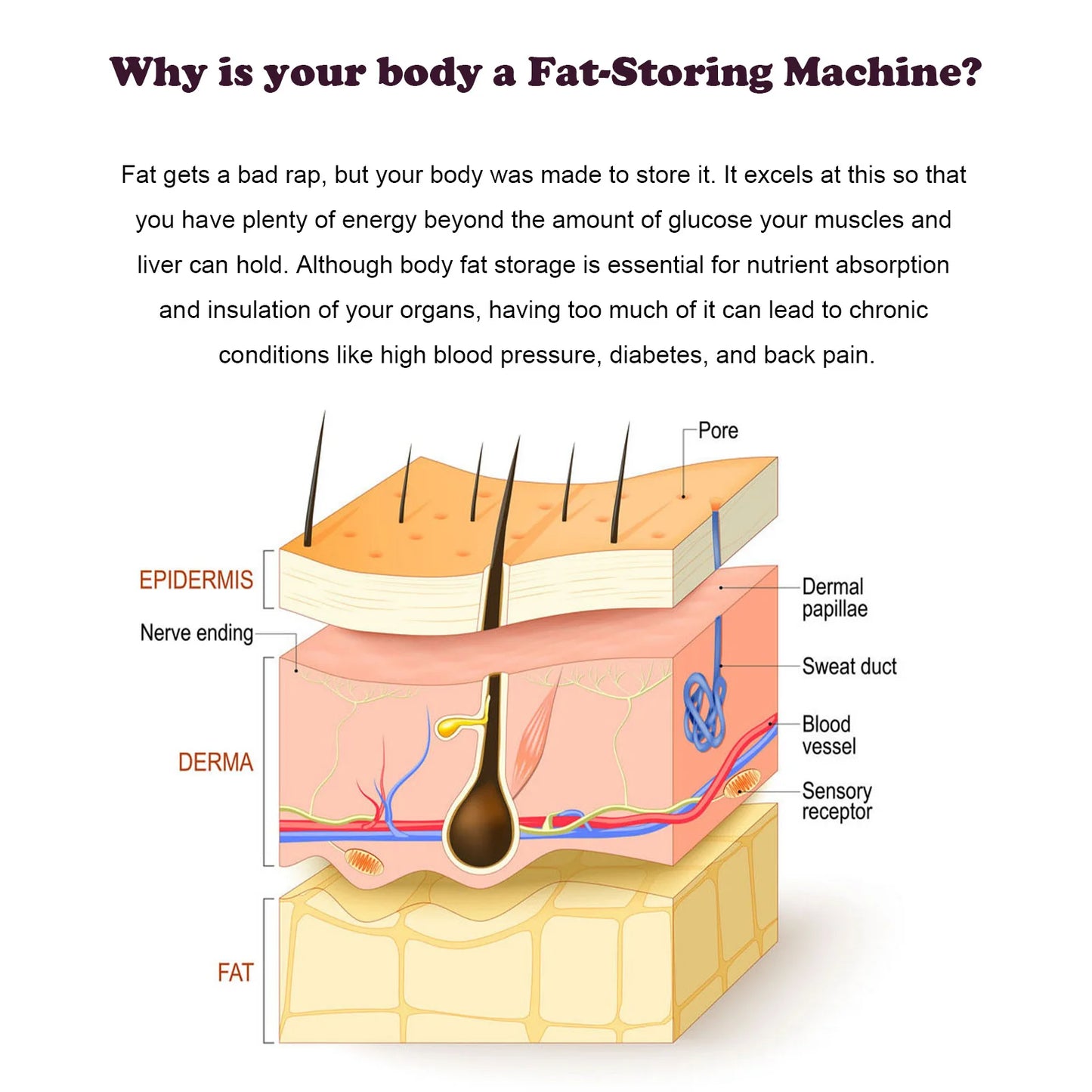 Fat Burning Detox Pills Losing Weight Anti Cellulite Flat Abdomen Firming Lifting Sagging Skin Shaping Waistline Slimming Care