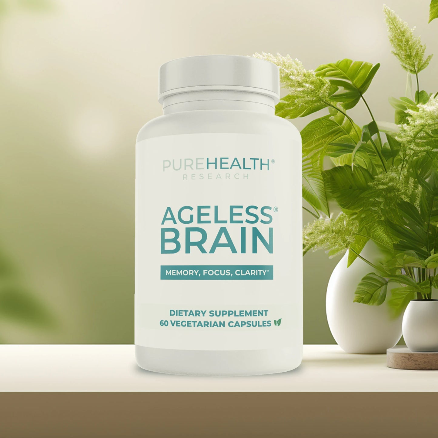 Ageless Brain - Niacin, Vitamin B6 -Memory, Focus, Boost Brain Health, Learn and Concentrate