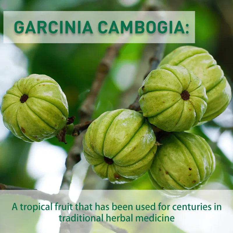 Garcinia Cambogia Capsules - Fat Burning & Cellulite Burner Detox, Weight Management, Metabolism Boost