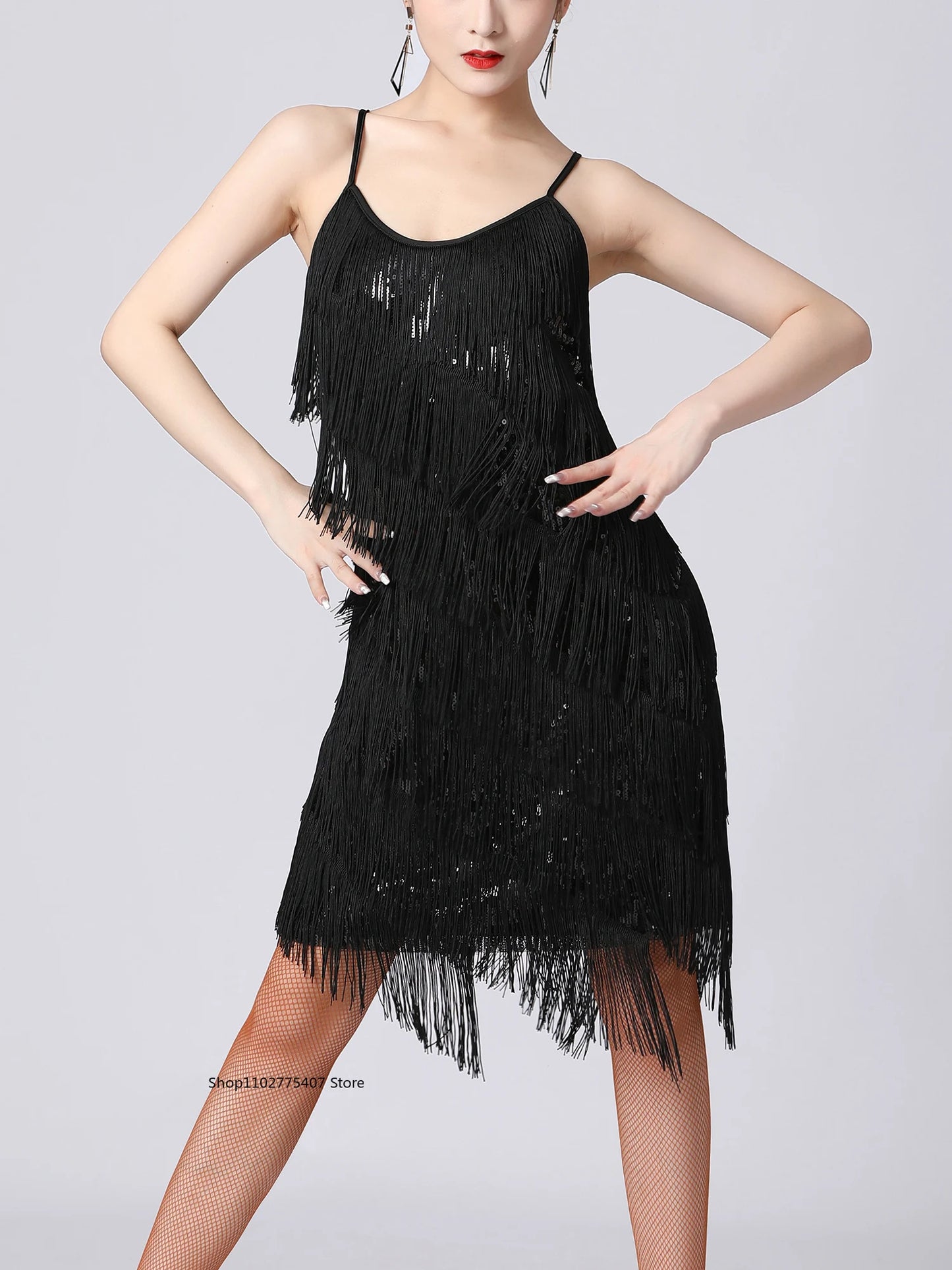 Women Salsa Latin Dance Dress Sequin Tassel Fringe Flapper Dress 1920s Gatsby Cocktail Dress Tango Ballroom Dancing Costume