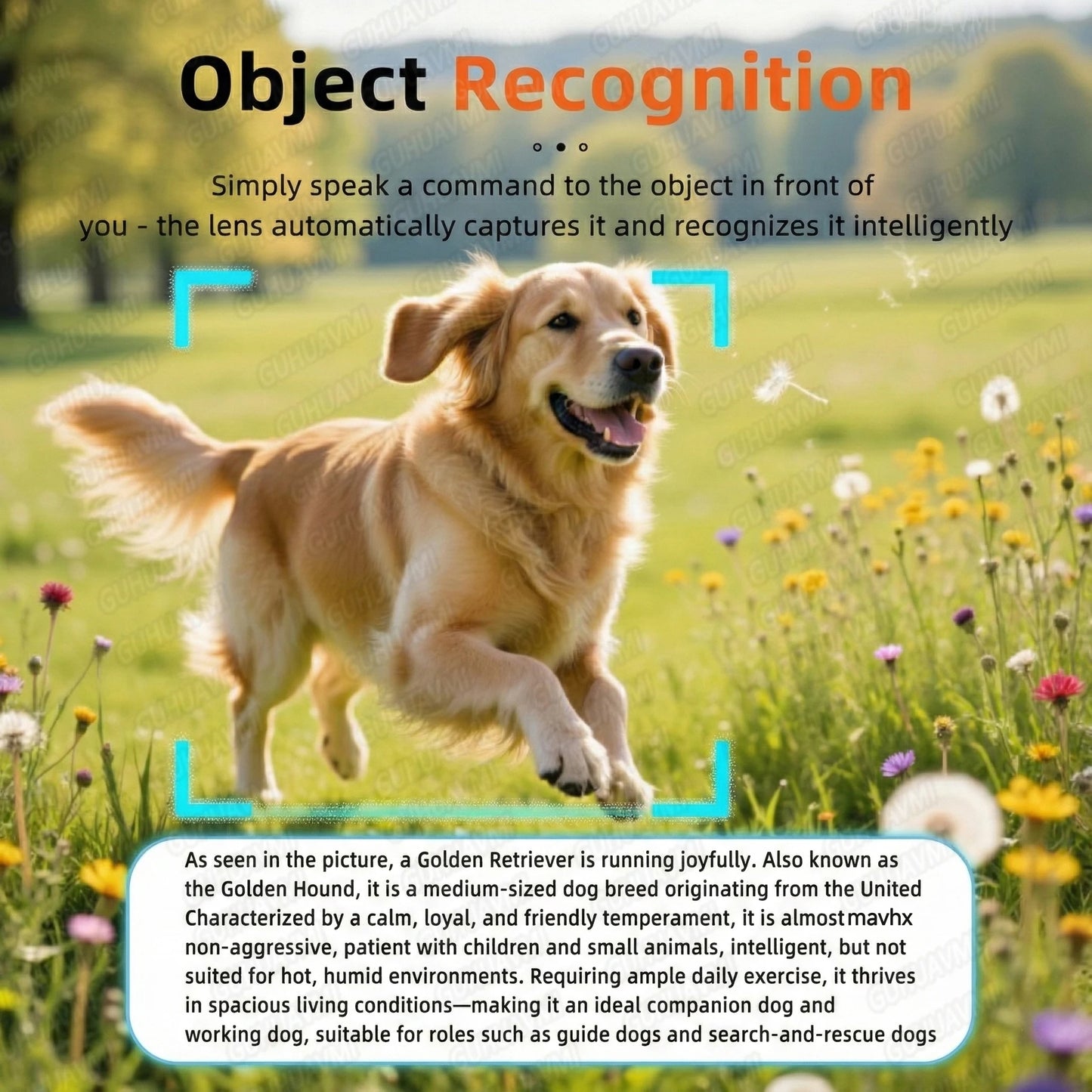 New Outdoor Sport 4K Anti-shake Camera Smart Glasses Men 1200P Video Recording Take Photo Waterproof Sandproof Sunglasses Women