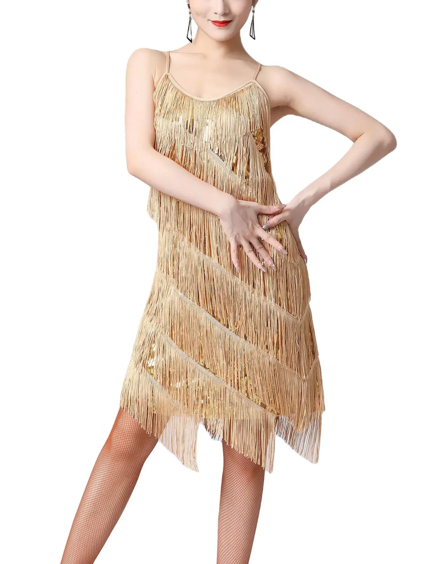 Women Salsa Latin Dance Dress Sequin Tassel Fringe Flapper Dress 1920s Gatsby Cocktail Dress Tango Ballroom Dancing Costume