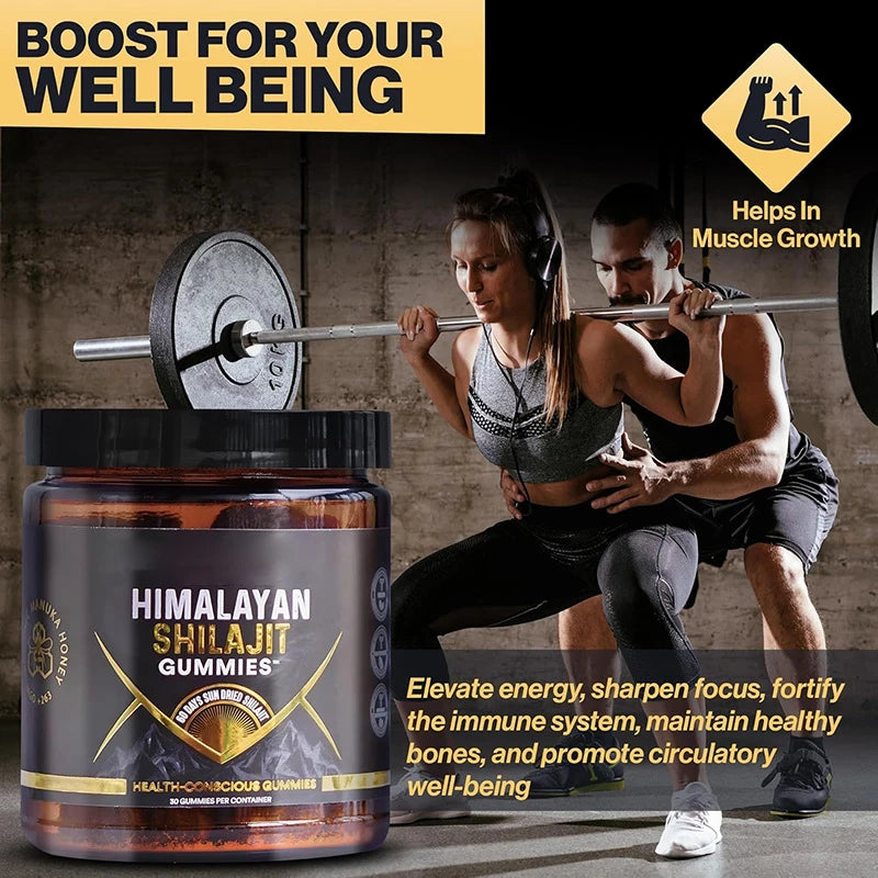 Himalayan Shilajit Gummies for Heart, Brain, Cellular Health 30 Gummies