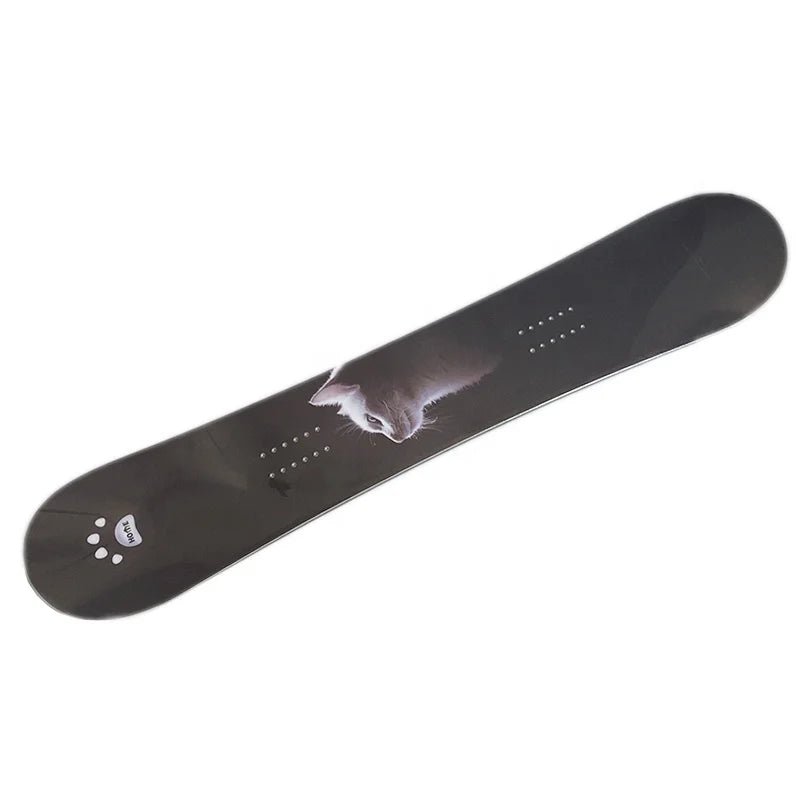 Factory Directly Sale Snowboard Skateboard Adult Outdoor Skiing Training Board Wholesale