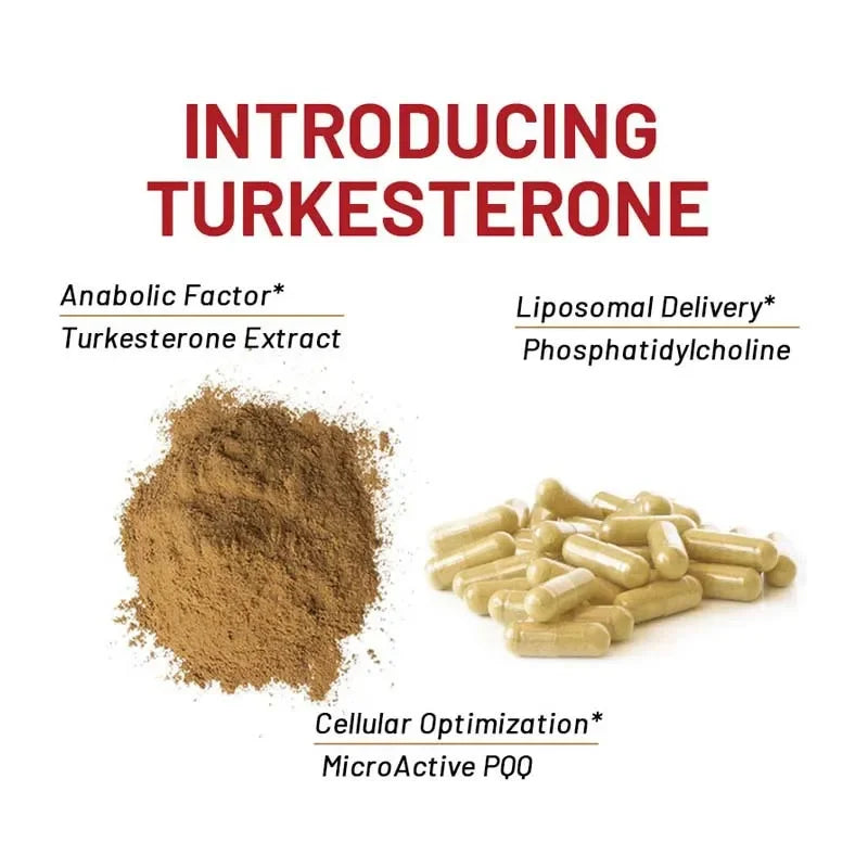 2 Bottle 120 Pills Turkesterone Capsules+Ecdysterone Capsules Support Muscle Development Increase Burn Fat Zengji Hard Capsule