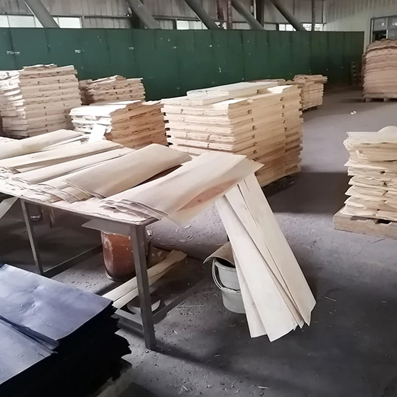 Factory Directly Sale Snowboard Skateboard Adult Outdoor Skiing Training Board Wholesale