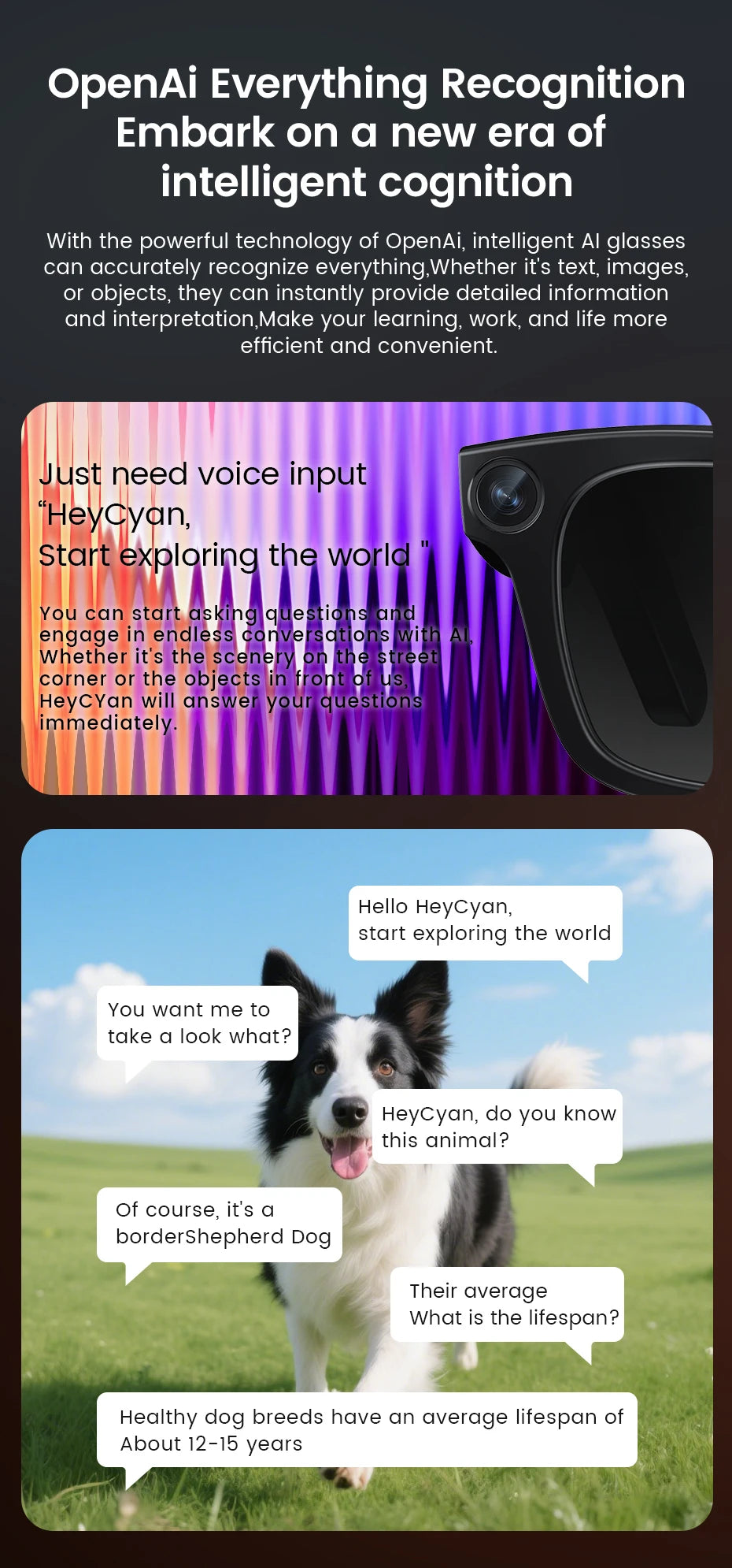AI Smart Glasses 800W HD Camera 32 Million Interpolation Real-Time Translation AI Voice Assistant LED Flashlight  Music