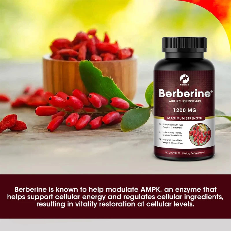 Top Factories Berberine Capsules 1200mg Natural Vegan Supports Heart Health Immune System Liver Health Digestion and Weight Loss