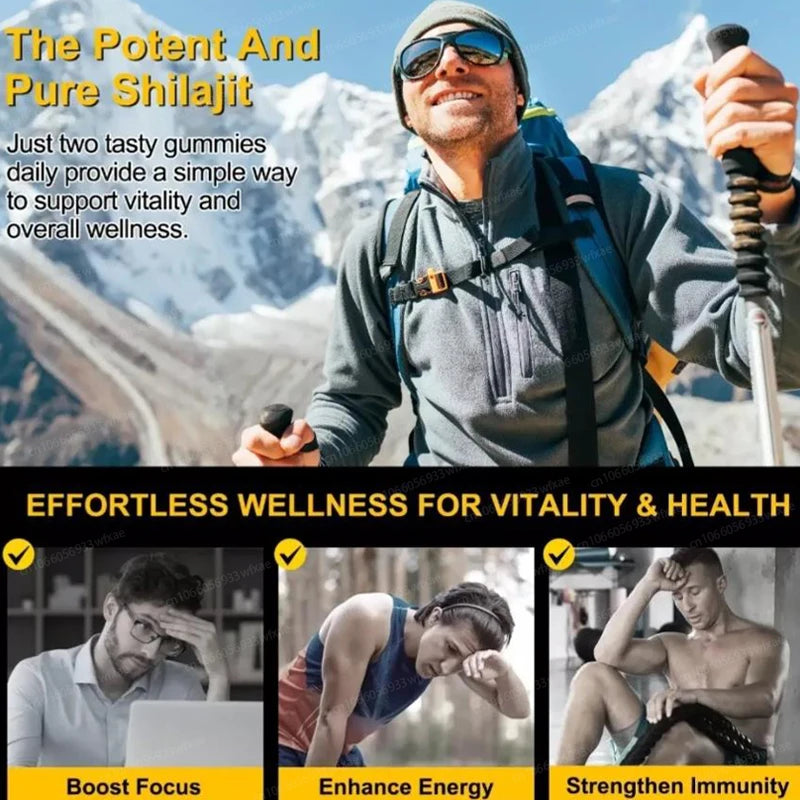 Himalayan Shilajit Gummies for Heart, Brain, Cellular Health 30 Gummies