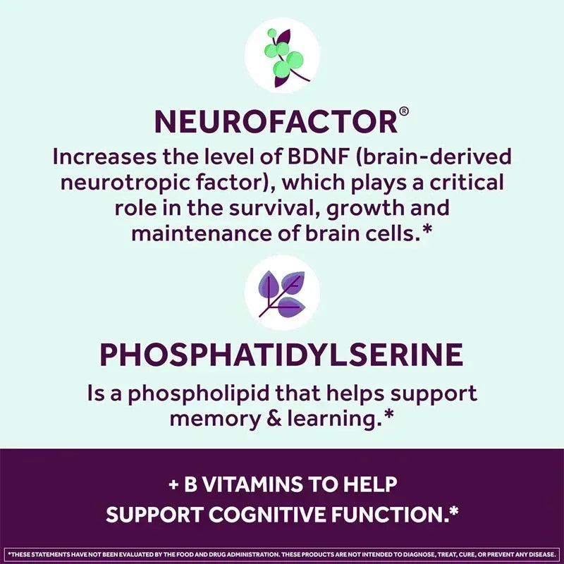 Brain Health Capsules - Supports Brain Health, Enhances Memory & Concentration, Improves Mental Clarity, Vegetarian, Gluten-free