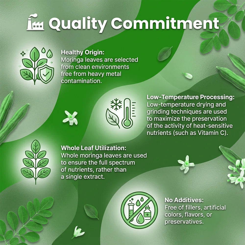 Moringa Capsules - Pure Moringa Powder, Energy, Skin, Immune & Gut Health, Antioxidants, Essential Vitamins & Amino Acids